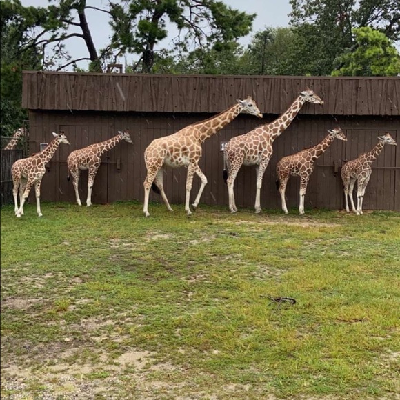 Meet your Posher, Jessica - Picture 1 of 1